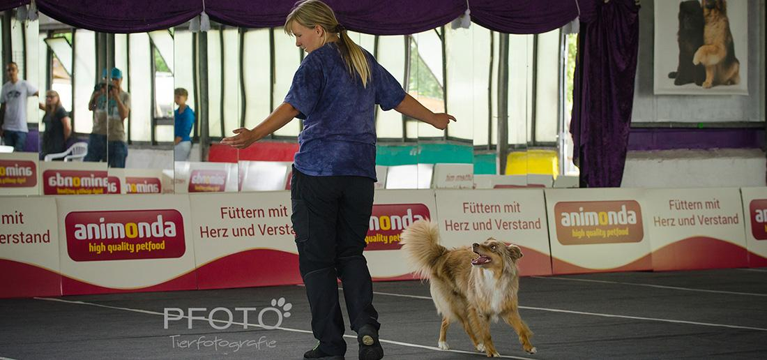 Schnupperkurs Dogdance