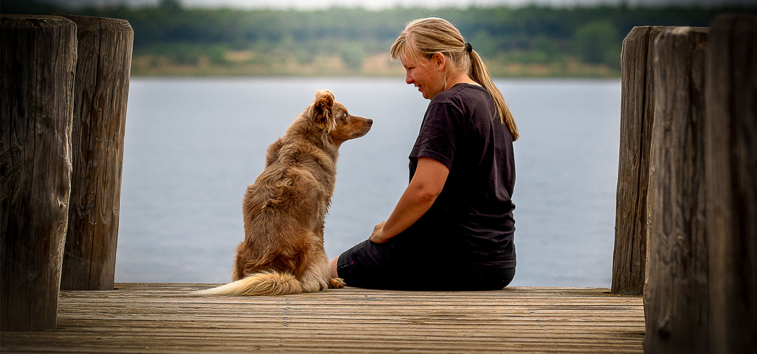 Mein Alltag, mein Hund & ich! - Intensivkurs