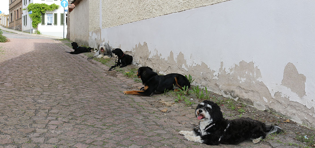 Flex-Gruppe - Outdoor